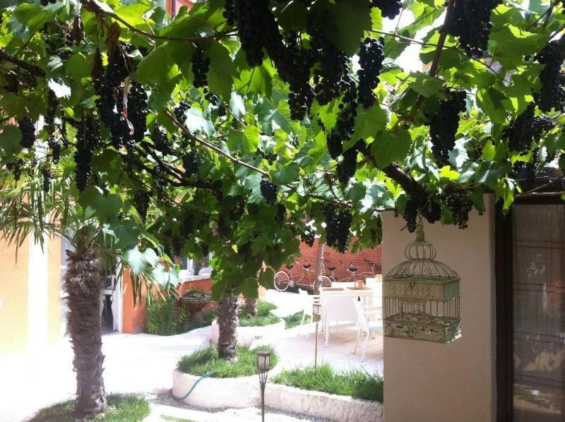 Hotel La Pergola Di Venezia Benátky – Lido Exteriér fotografie